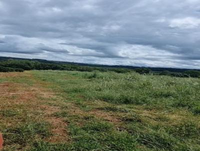 Chcara para Venda, em , bairro Area Rural
