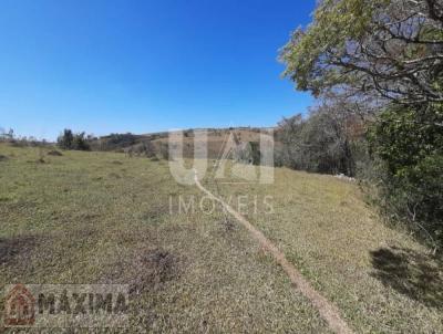 Fazenda para Venda, em Conceio da Barra de Minas, bairro rea Rural