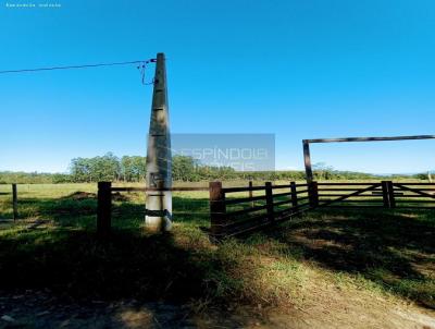 Terreno Rural para Venda, em So Joo do Sul, bairro Forquilhinha