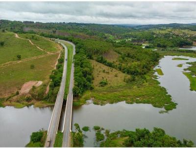 Terreno para Venda, em Goinia, bairro Chcaras Maring