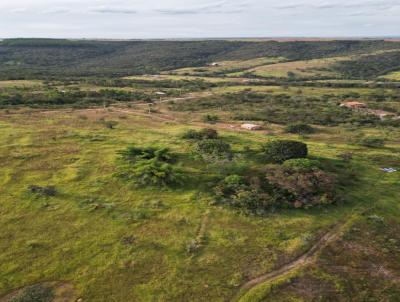 Chcara para Venda, em Braslia, bairro Setor Habitacional Jardim Botnico