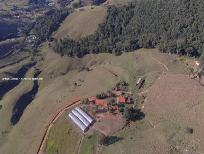 Stio para Venda, em Joanpolis, bairro rea Rural