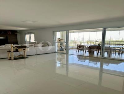 imagem-miniatura