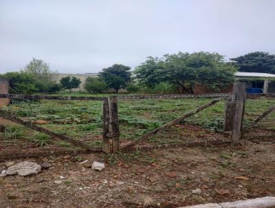 Terreno para Venda, em , bairro Centro