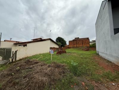 imagem-miniatura