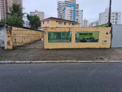 Terreno para Locao, em , bairro Guilhermina