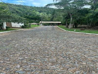 Terreno para Venda, em , bairro Graminha