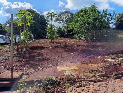 Terreno para Venda, em , bairro Centro
