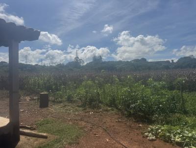 Sítio para Venda, em Patos de Minas, bairro RURAL, 2 dormitórios, 1 banheiro