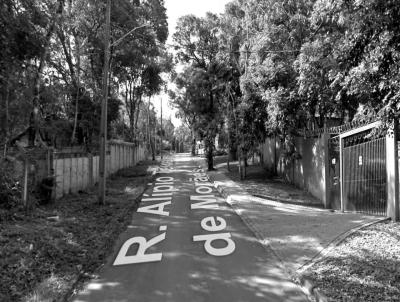 Terreno para Venda, em Curitiba, bairro Barreirinha