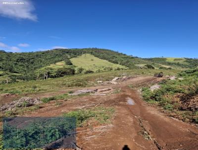 Terreno para Venda, em Parais�polis, bairro Furna