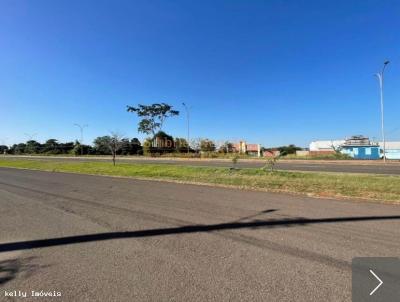 Terreno Comercial para Venda, em , bairro Ana Jacinta
