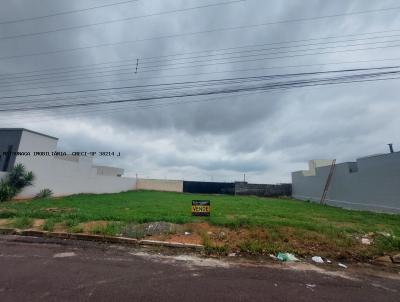 imagem-miniatura