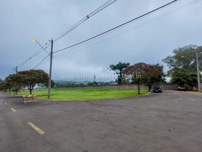 imagem-miniatura