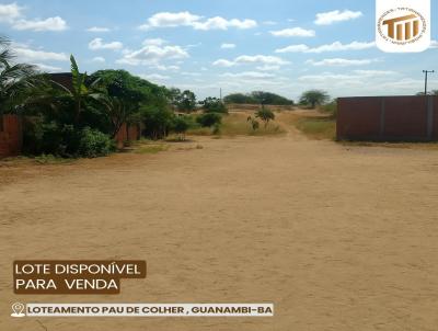 Loteamento para Venda, em Guanambi, bairro Loteamento Pau de Colher