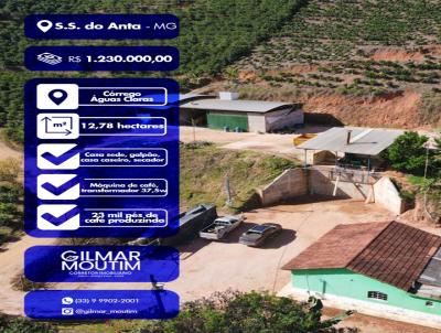 Chcara para Venda, em Inhapim, bairro Crrego do guas claras