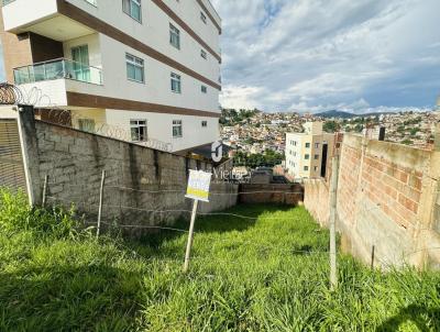 Terreno para Venda, em Itabira, bairro Jardim dos Ipês