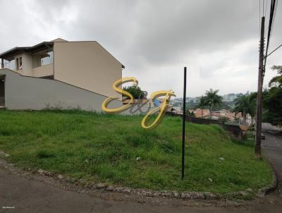 imagem-miniatura