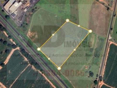 Área para Venda, em Cedral, bairro Rodovia