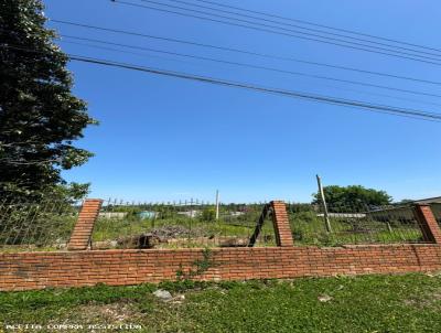 Terreno para Venda, em Gravata, bairro Nepolis