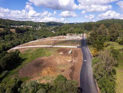 Terreno para Venda, em Caxias do Sul, bairro Parada Cristal