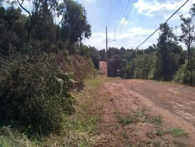 Chcara para Venda, em Mrio Campos, bairro Bom Jardim