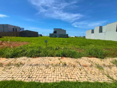 Terreno para Venda, em Lucas do Rio Verde, bairro Florais dos Buritis