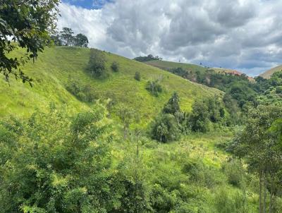 Terreno para Venda, em Matias Barbosa, bairro Zona Rural