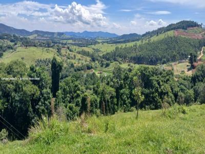 Terreno para Venda, em , bairro Boa Vista
