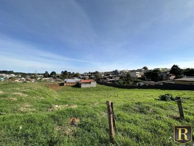 Terreno para Venda, em Guarapuava, bairro Alto da XV