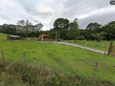Terreno para Venda, em São José, bairro Potecas