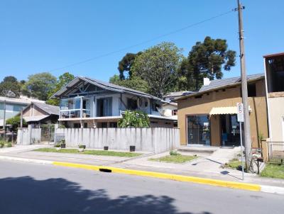 rea para Venda, em Canela, bairro Eugnio Ferreira