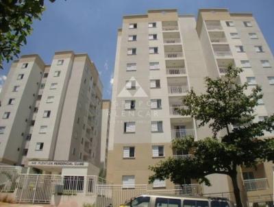 Apartamento para Venda, em So Paulo, bairro Vila Siqueira (Zona Norte), 3 dormitrios, 2 banheiros, 1 sute, 1 vaga