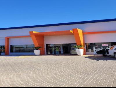Oportunidade para Investidor para Venda, em Lucas do Rio Verde, bairro Menino de Deus