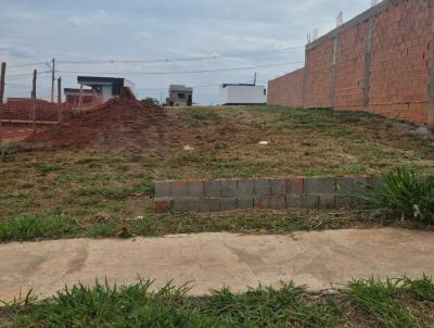 imagem-miniatura