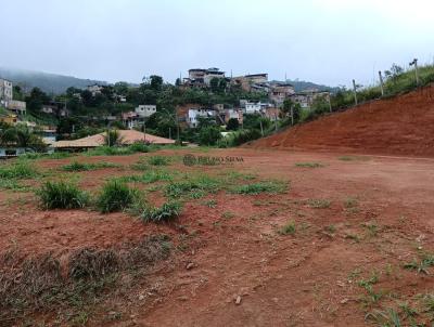 Terreno para Venda, em Juiz de Fora, bairro TERRAS DO COMENDADOR