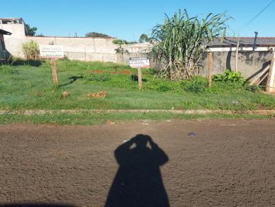 Terreno para Venda, em Londrina, bairro Jardim Belem