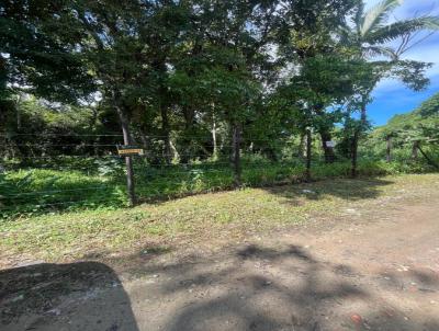 Terreno para Venda, em So Sebastio, bairro Boraceia