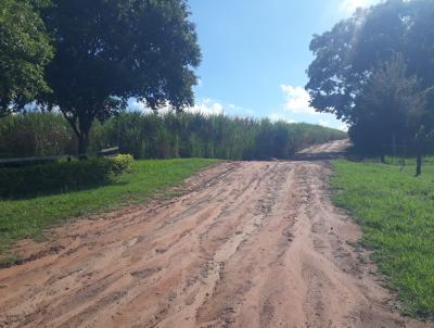 Fazenda para Venda, em Rancharia, bairro Centro (Gardênia)
