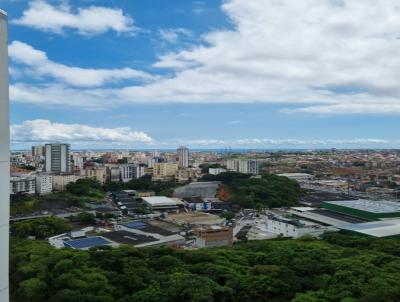imagem-miniatura