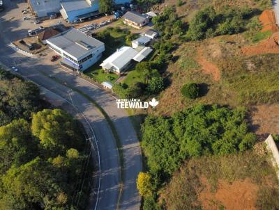 Terreno para Venda, em Santa Maria do Herval, bairro Centro