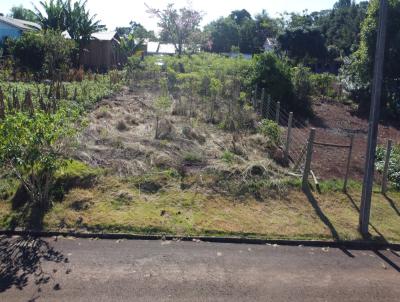Lote para Venda, em Rio Bonito do Iguau, bairro Schmeing