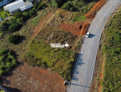 Terreno para Venda, em Santa Maria do Herval, bairro Centro