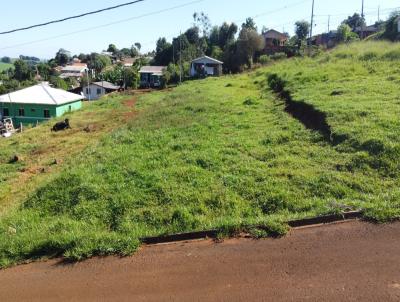 Lote para Venda, em Rio Bonito do Iguau, bairro Santo Antonio