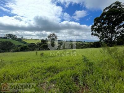 Fazenda para Venda, em Coronel Xavier Chaves, bairro Trevo de Resende Costa