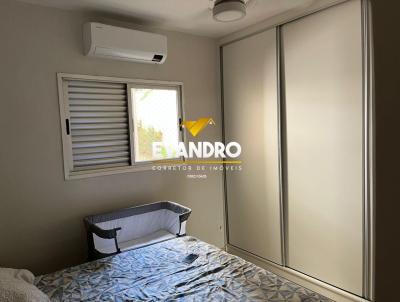 imagem-miniatura