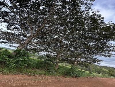 Chcara para Venda, em Braslia, bairro Samambaia Sul (Samambaia), 1 dormitrio, 1 banheiro