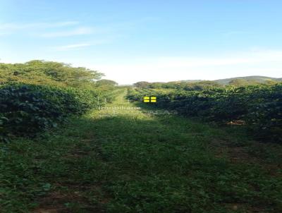 Stio para Venda, em So Pedro da Unio, bairro PRXIMO A BIGUATINGA