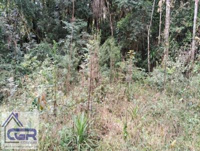 rea Rural para Venda, em So Jos dos Pinhais, bairro Campestre da Faxina