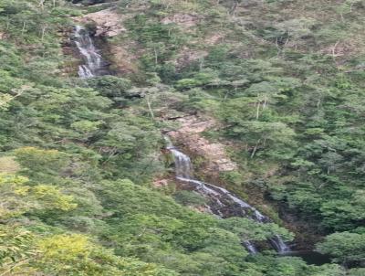 Fazenda para Venda, em So Joo D`Aliana, bairro Zona Rural